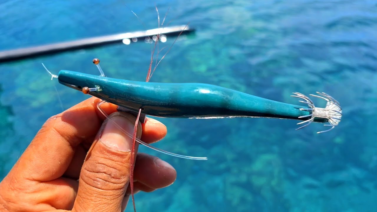 Berkah Di Akhir Ramadhan, Mancing Cumi Di Karang Dangkal