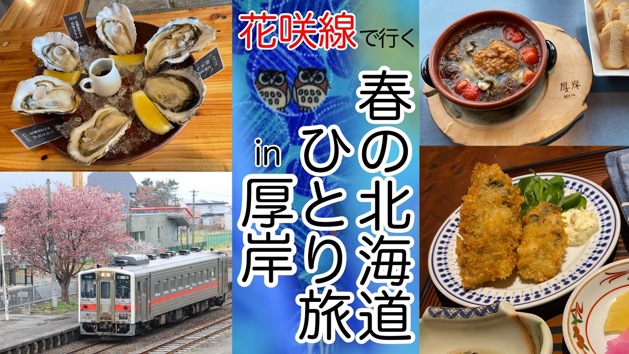 【北海道】春の道東 🦪 厚岸 ひとり旅 🌸 根室本線 花咲線 美味しい牡蠣と綺麗な桜