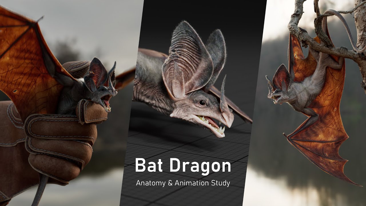 Bat Dragon | Anatomy & Animation Study