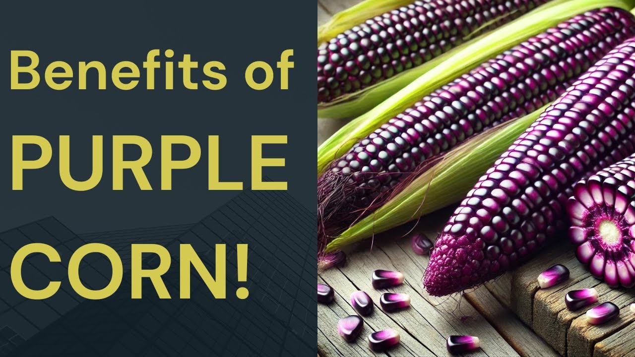 10 Incredible Benefits of PURPLE CORN!