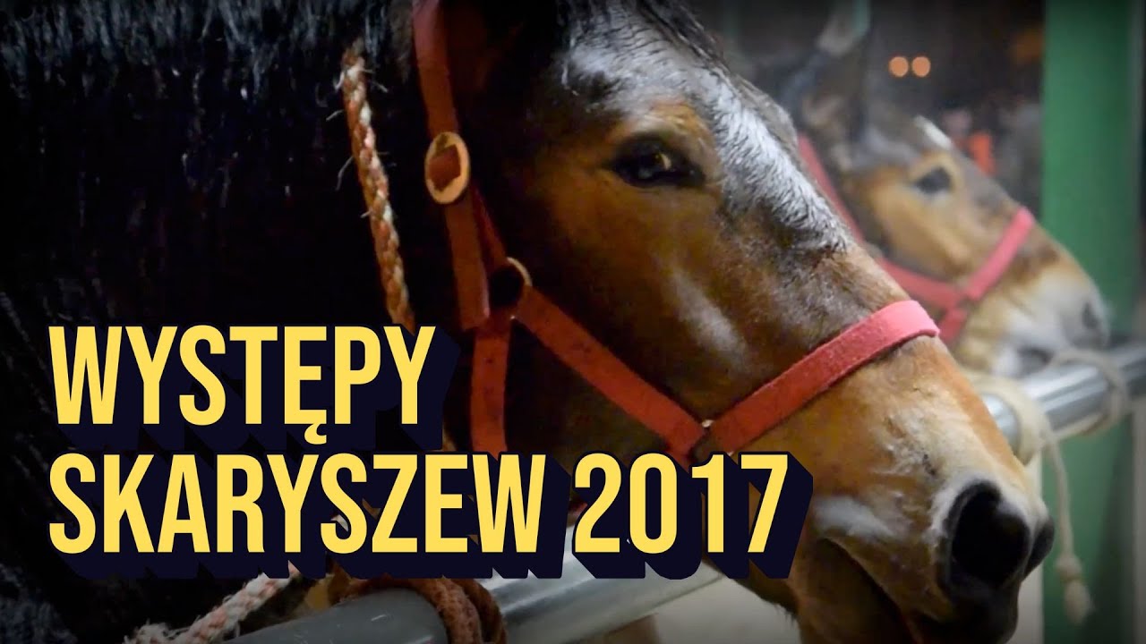WYSTĘPY - Skaryszew 2017