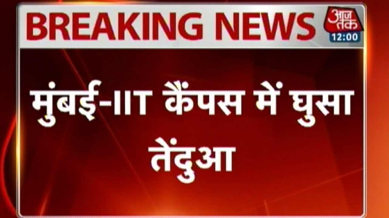 Terror strikes IIT-Mumbai as leopard enters laboratory