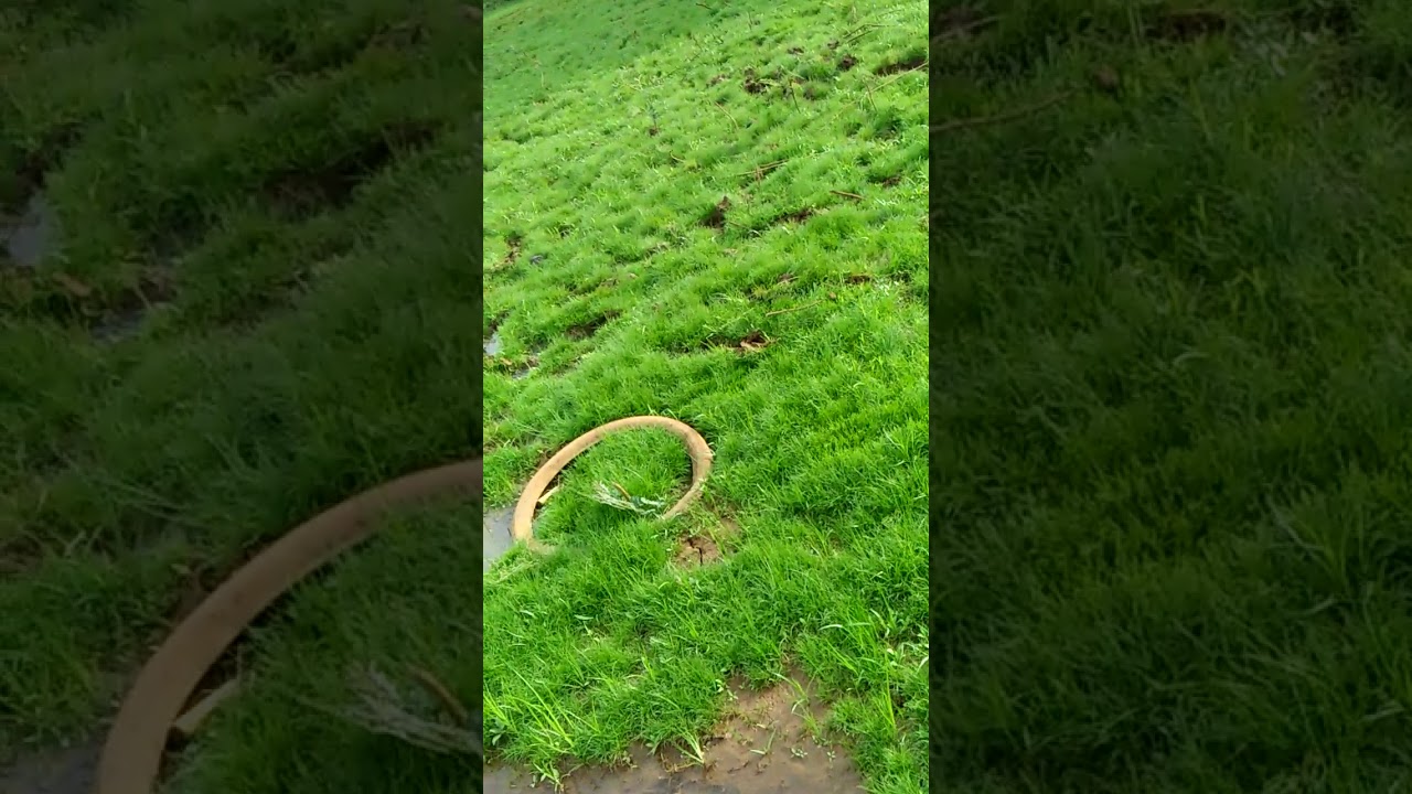 wit yao kan kranh yoh