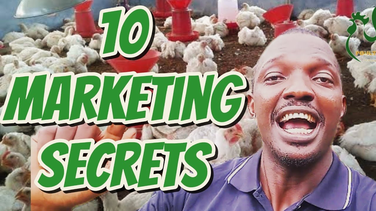 10 Marketing Tips to Sell Broiler Chickens Profitably