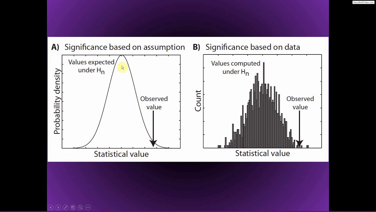 Permutation-based statistics