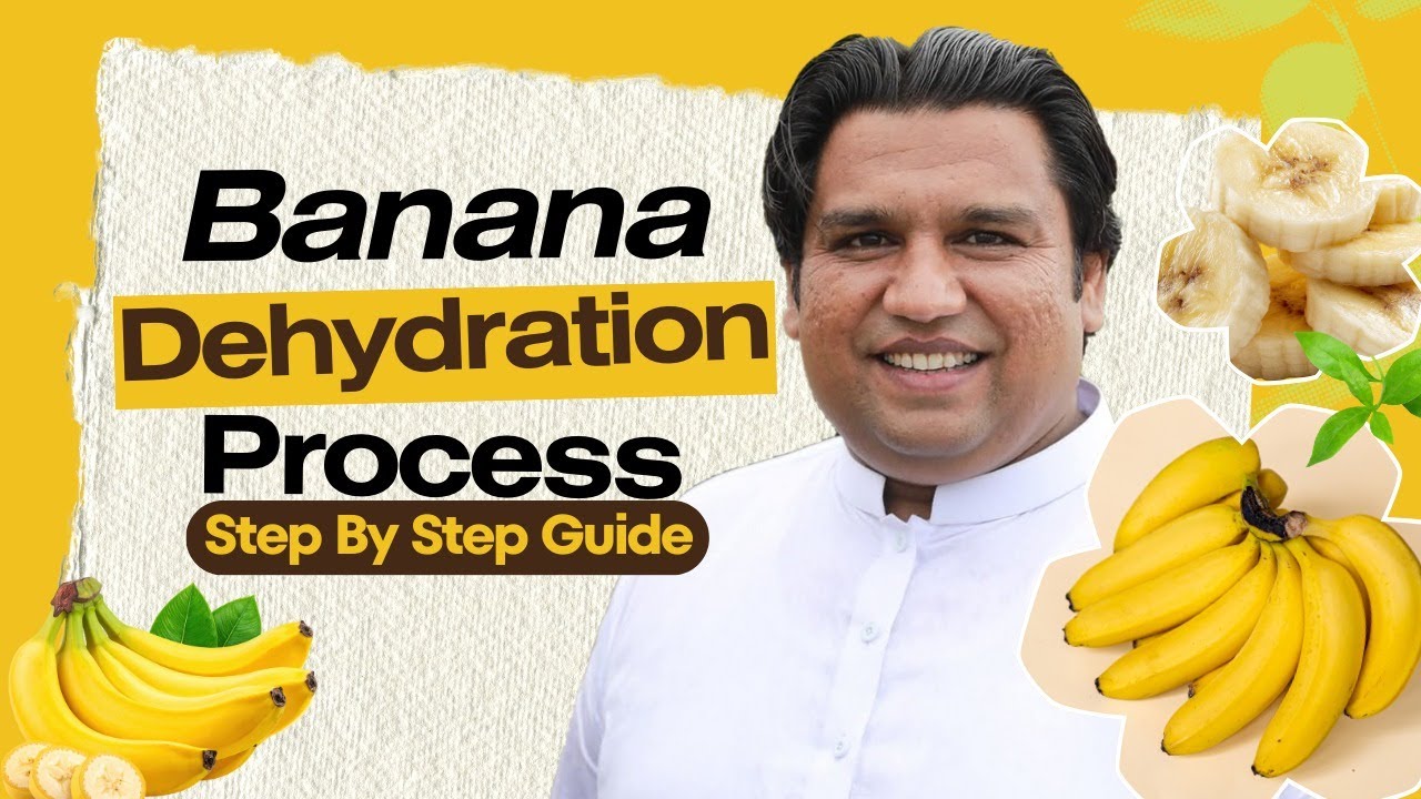 How to Start Banana Dehydration Business in Pakistan 2026 | Complete Step-by-Step Guide
