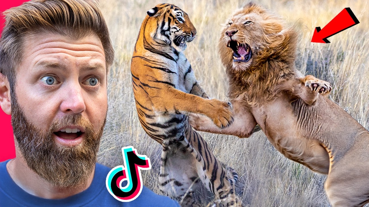 Wildlife Expert Reacts to TikTok&rsquo;s Craziest Animal Fights