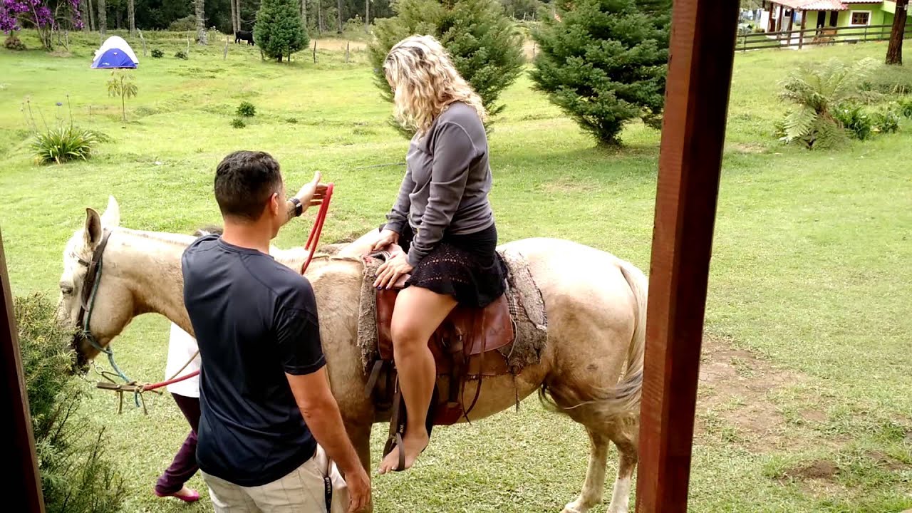 Cavalo indo