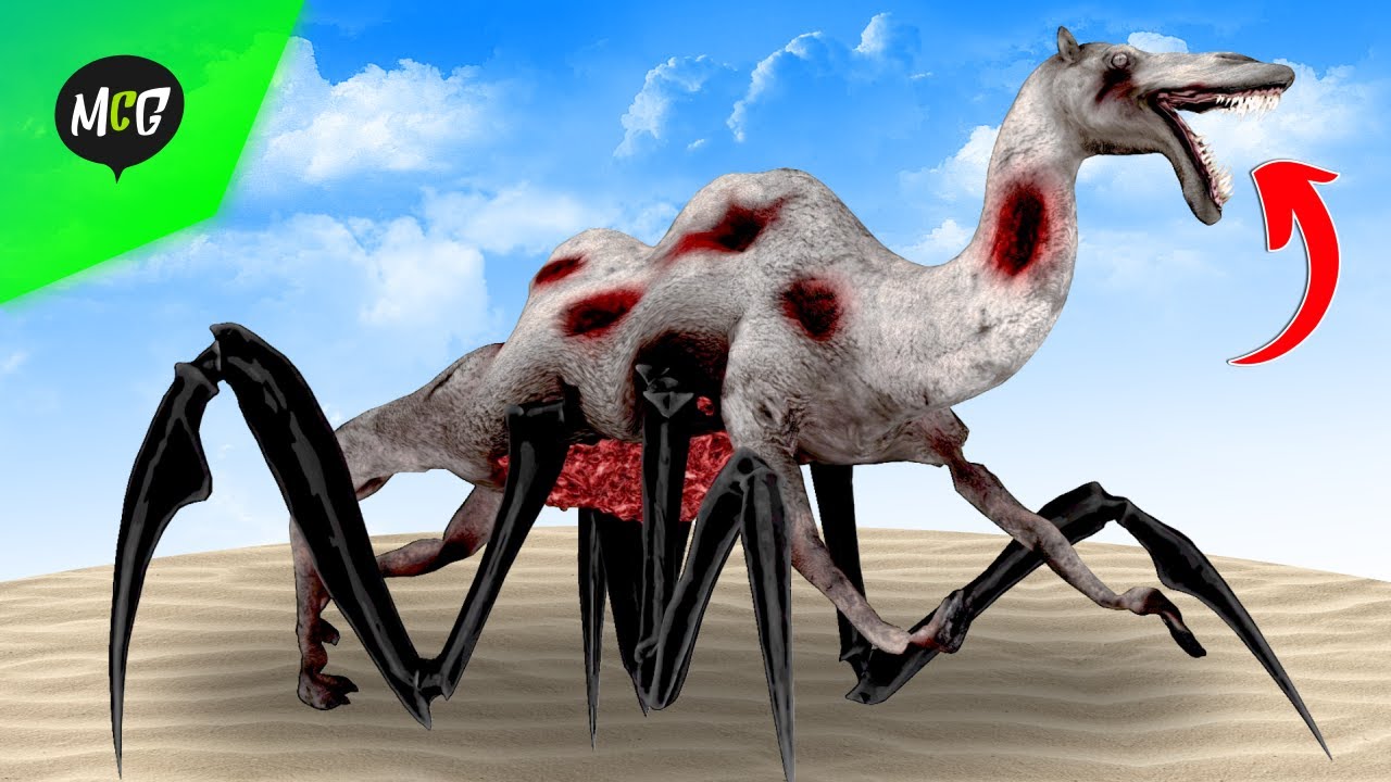 Monster Baru Zoochosis Unta Kaki Laba-laba!