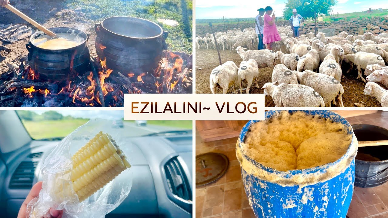 HAPPY NEW YEAR || Lets go to Dutywa Ezilalini-Making umqombothi