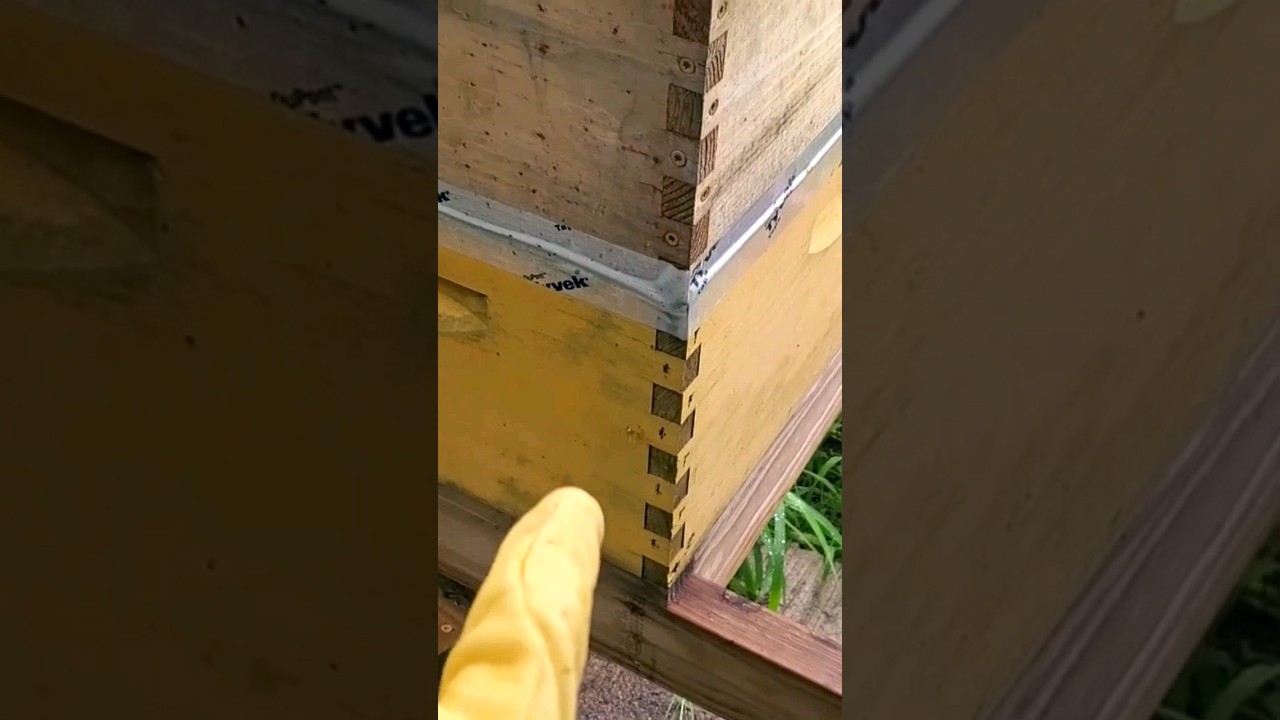How to Build a Budget Honeybee Hive Box 