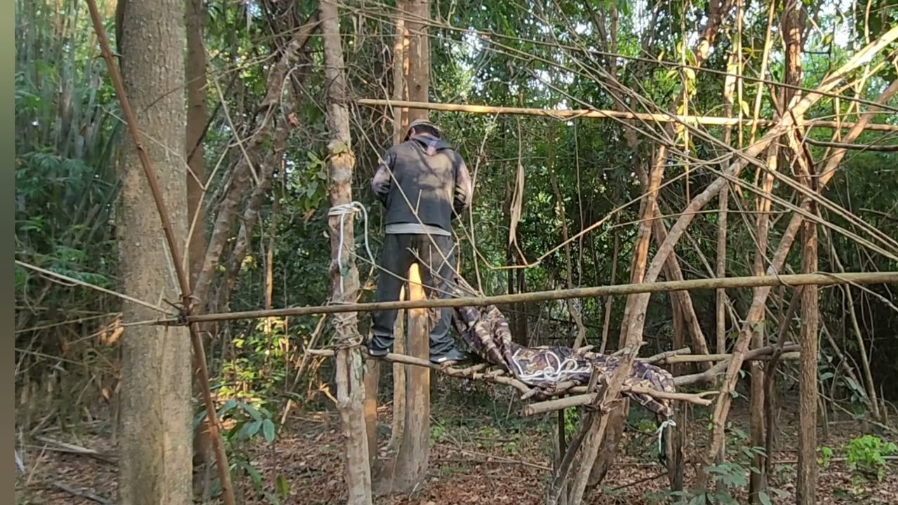 เข้าป่านอนป่า1 คืนนะครับ