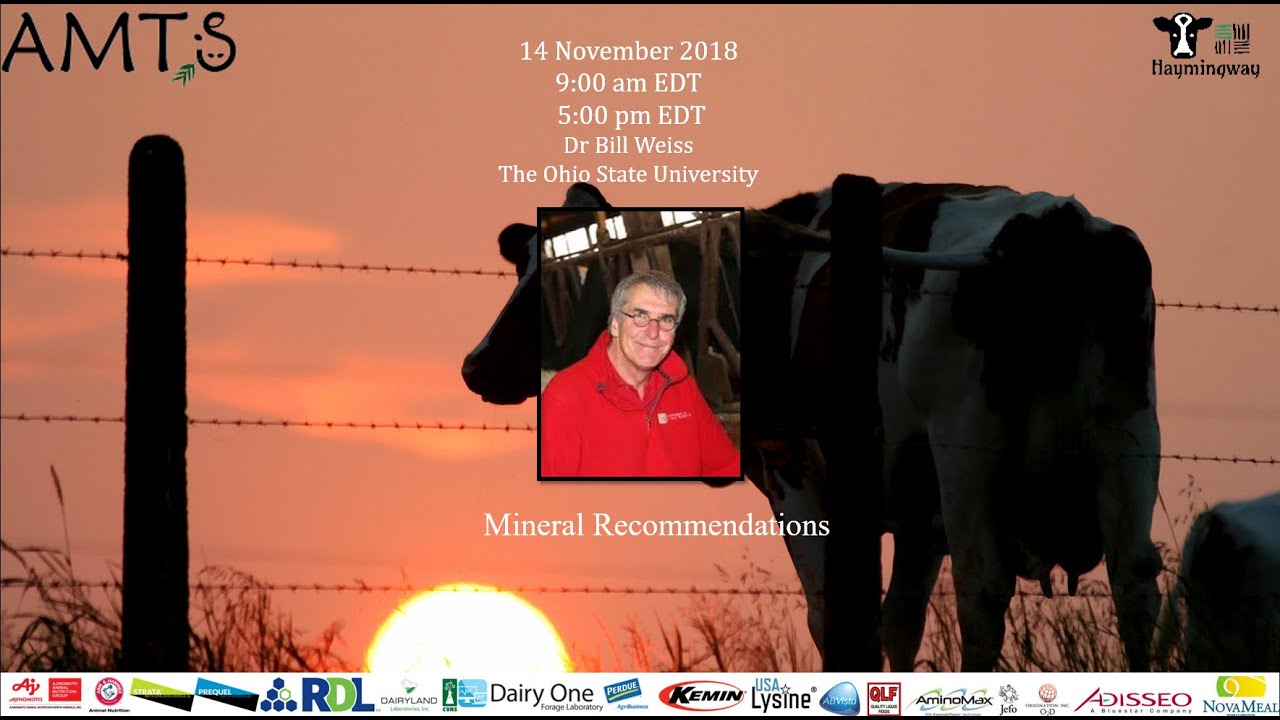 The Nutritionist 2018 Weiss