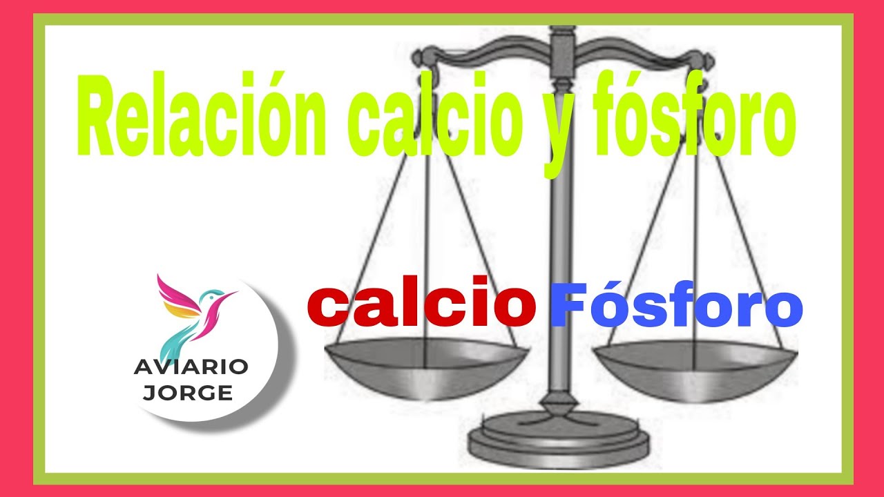 Como hacer Calcio y fósforo para dar a nuestras aves de jaula, canarios, pájaros  y aves exóticas ⁉️