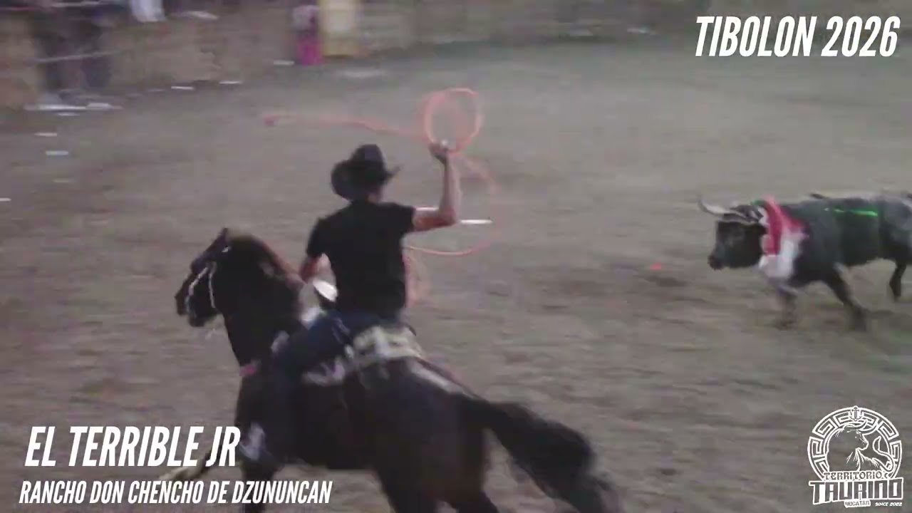 Toro El Terrible Jr de Rancho Don Chencho en la Corrida de Promesas Tibolón 2026