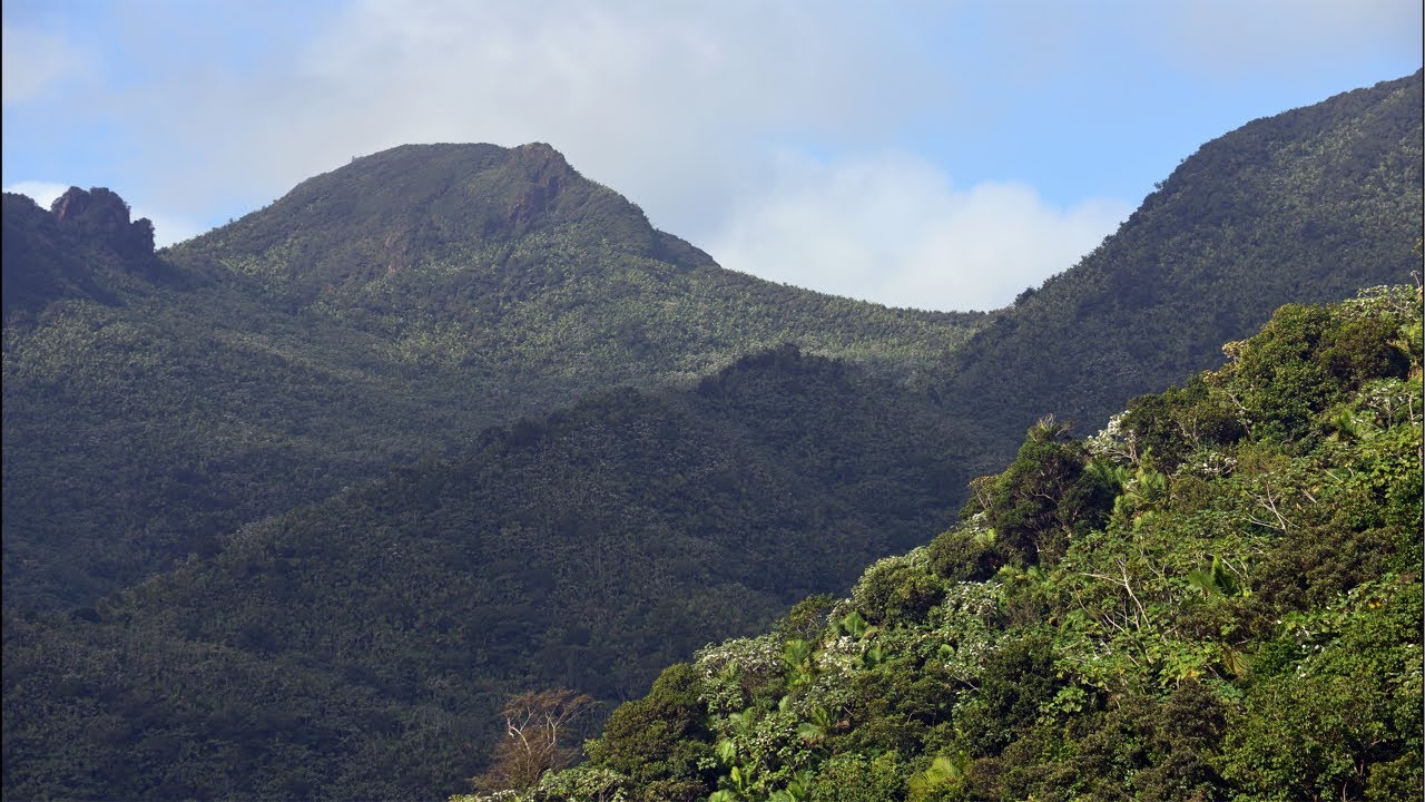 la Aldea LIVE: Los Misterios de El Yunque
