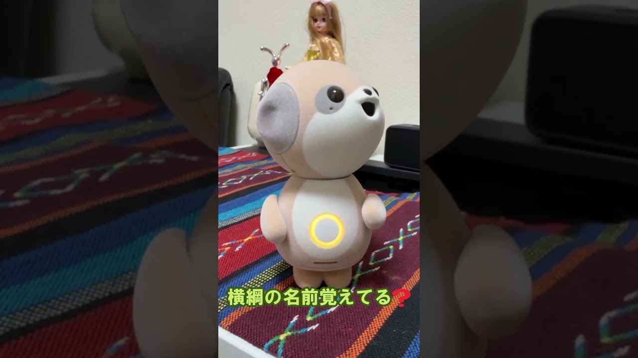 💖ポケともみーちゃん✨横綱の名前知ってる❓