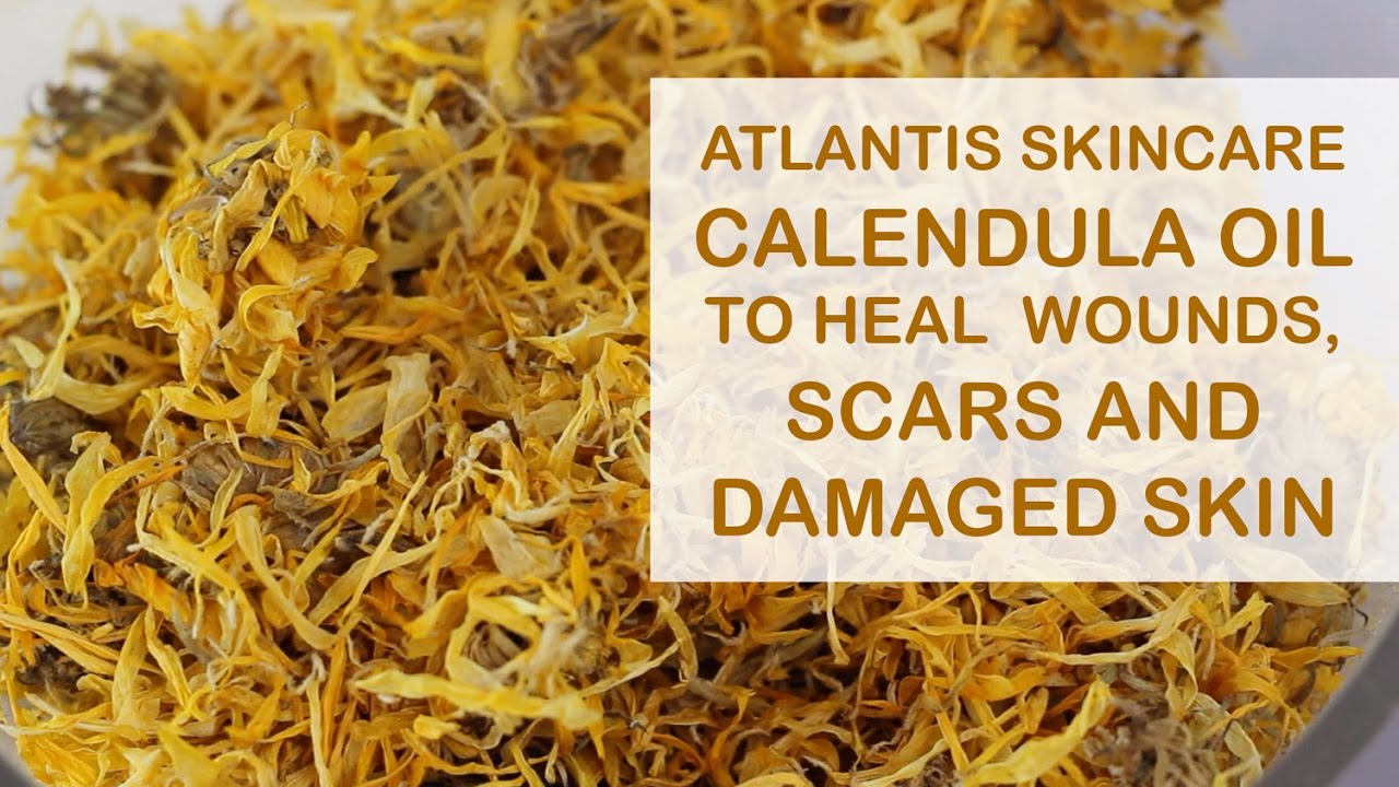 Calendula Oil to Heal Wounds, Scars and Damaged Skin by Atlantis Skincare