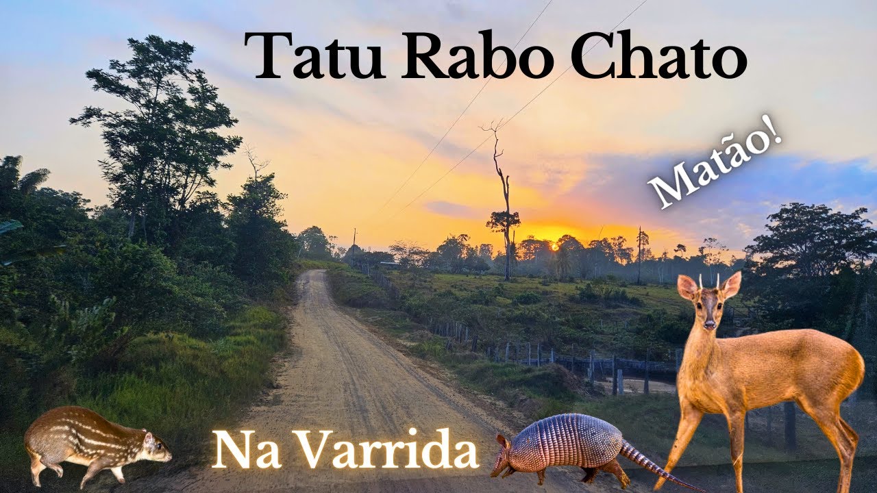 Tatu Rabo Chato na Varrida!