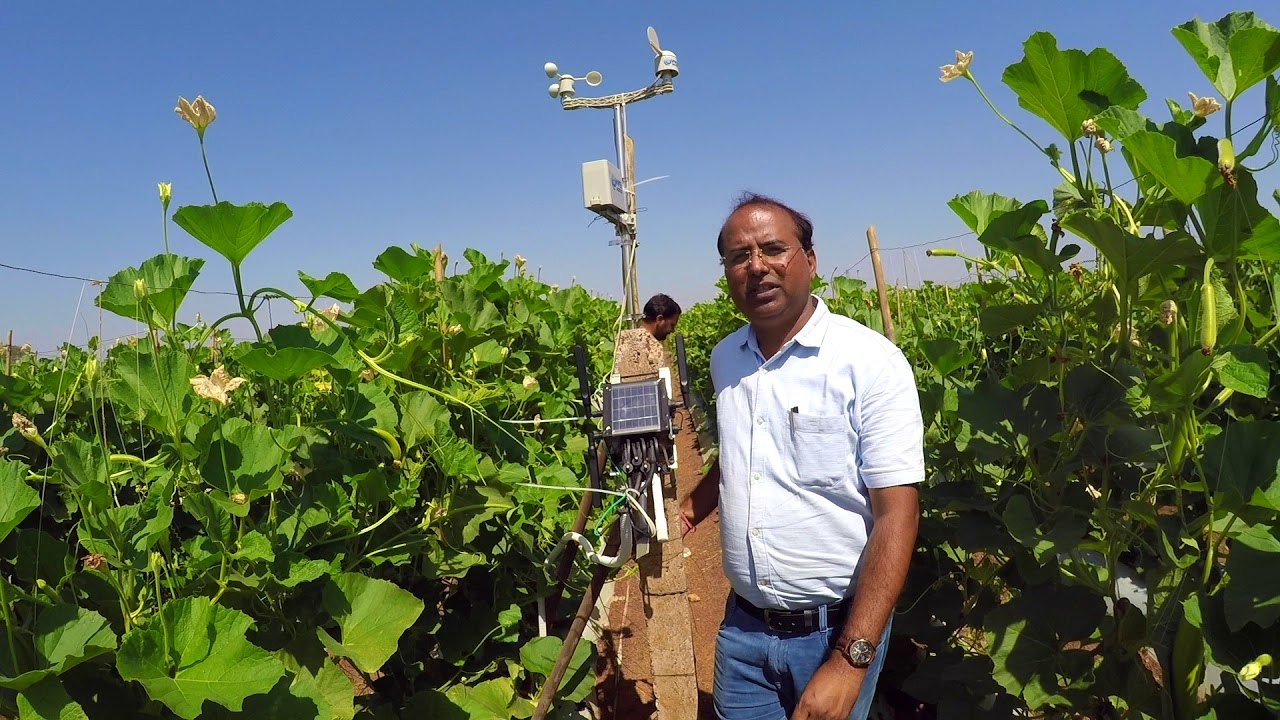 Horticulture Consultant Mr. Bhupendra's Testimony after using Fasal for 2 Months