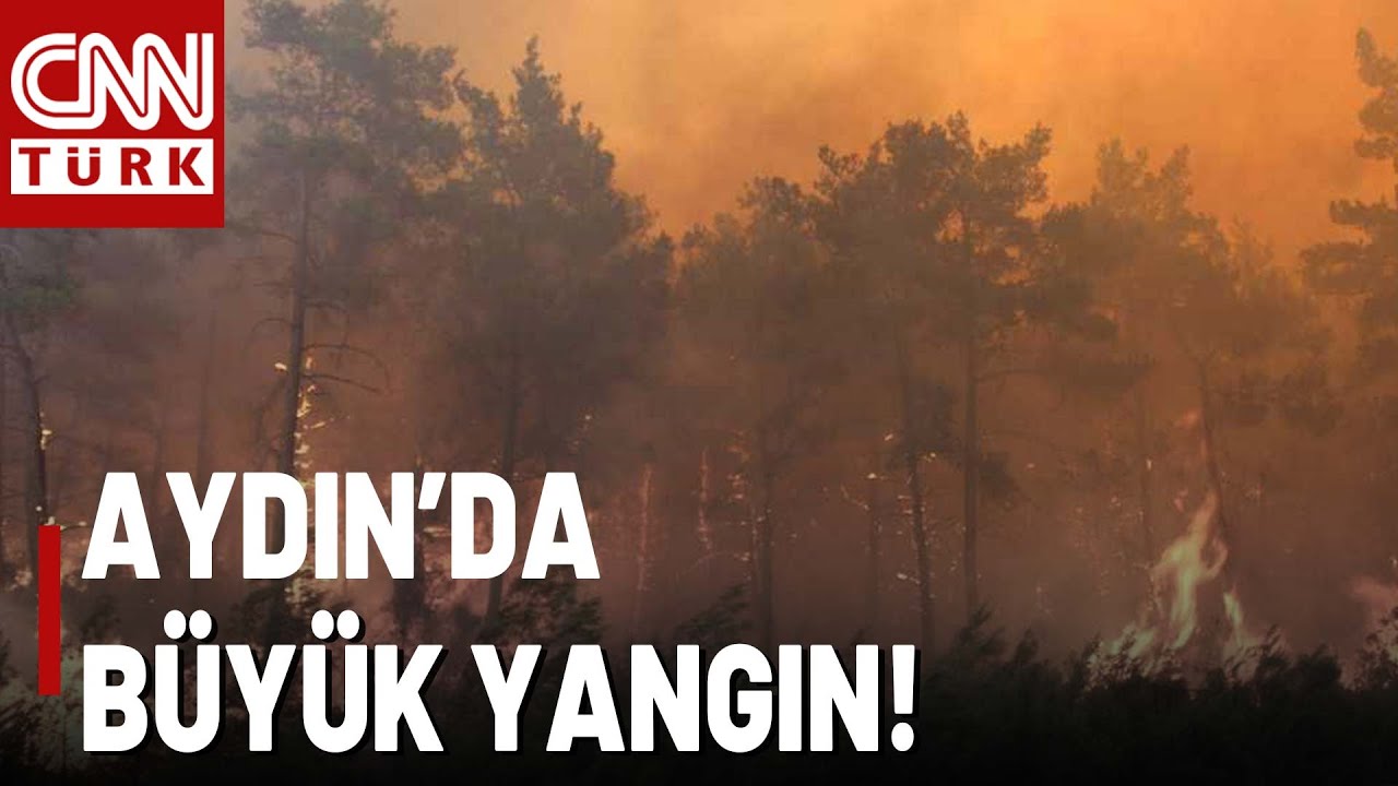Aydın Bozdoğan'da Alevlerle Mücadele Sürüyor... İşte O Felaketten Son Görüntüler!