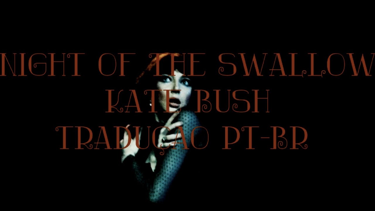 Night Of The Swallow - Kate Bush tradução/legendado
