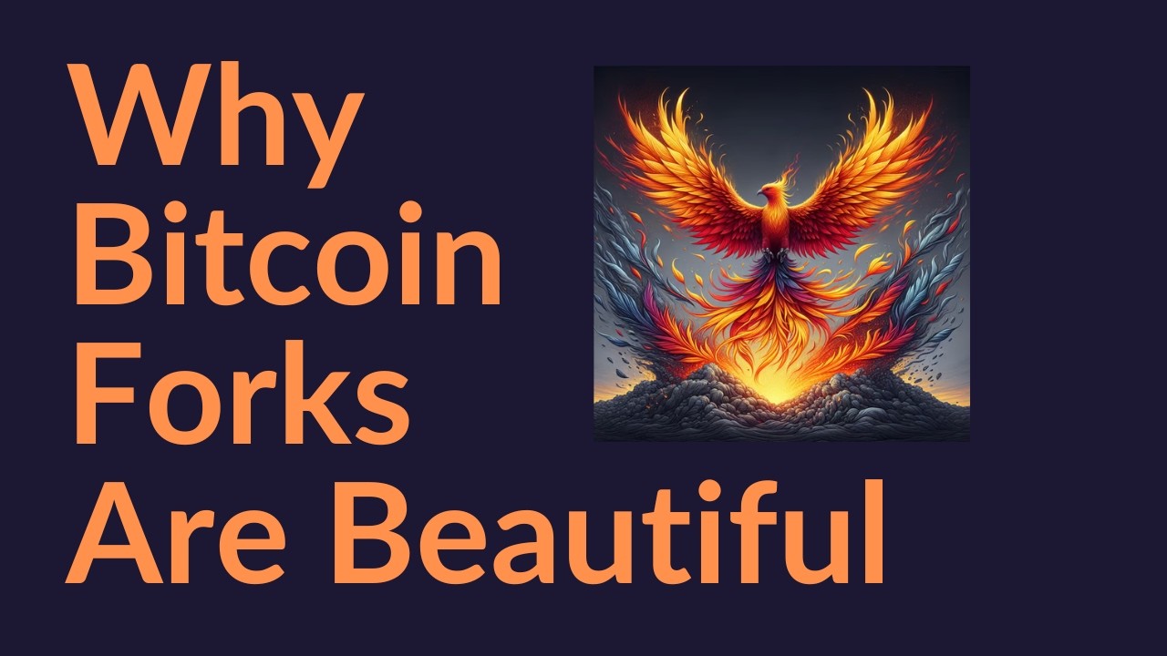 Why Bitcoin Forks Are Beautiful