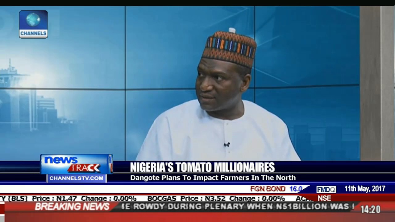 Dangote Plan Impact Tomato Farmers In The North