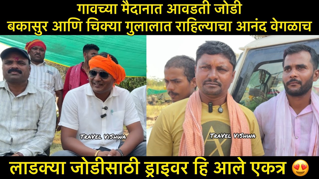 गावच्या मैदानात आवडती जोडी बकासुर आणि चिक्या गुलालात राहिल्याचा आनंद वेगळाच - अजित शेठ जगताप 
