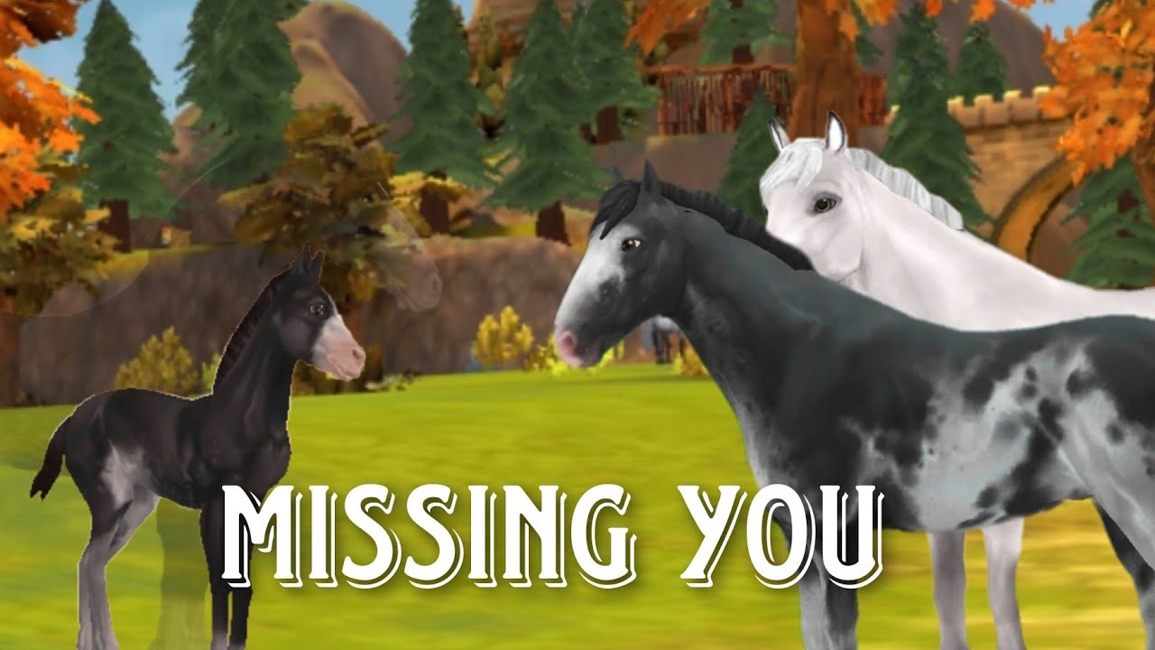 Horse riding tales🐴 musikvideo ♡ Missing you🌸