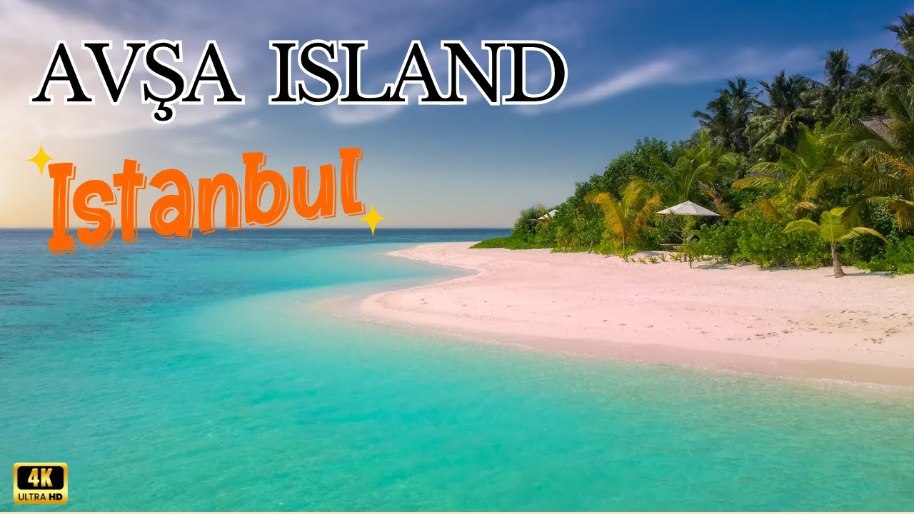 Here is the Paradise Island near the İstanbul I TOP PLACES OF AVŞA ISLAND