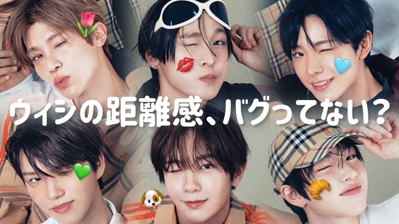 彼らのおもしれー距離感を全ケミ17パターン見ていきましょう💁🏻‍♀️【NCT WISH】《日本語字幕 / 切り抜き / まとめ》