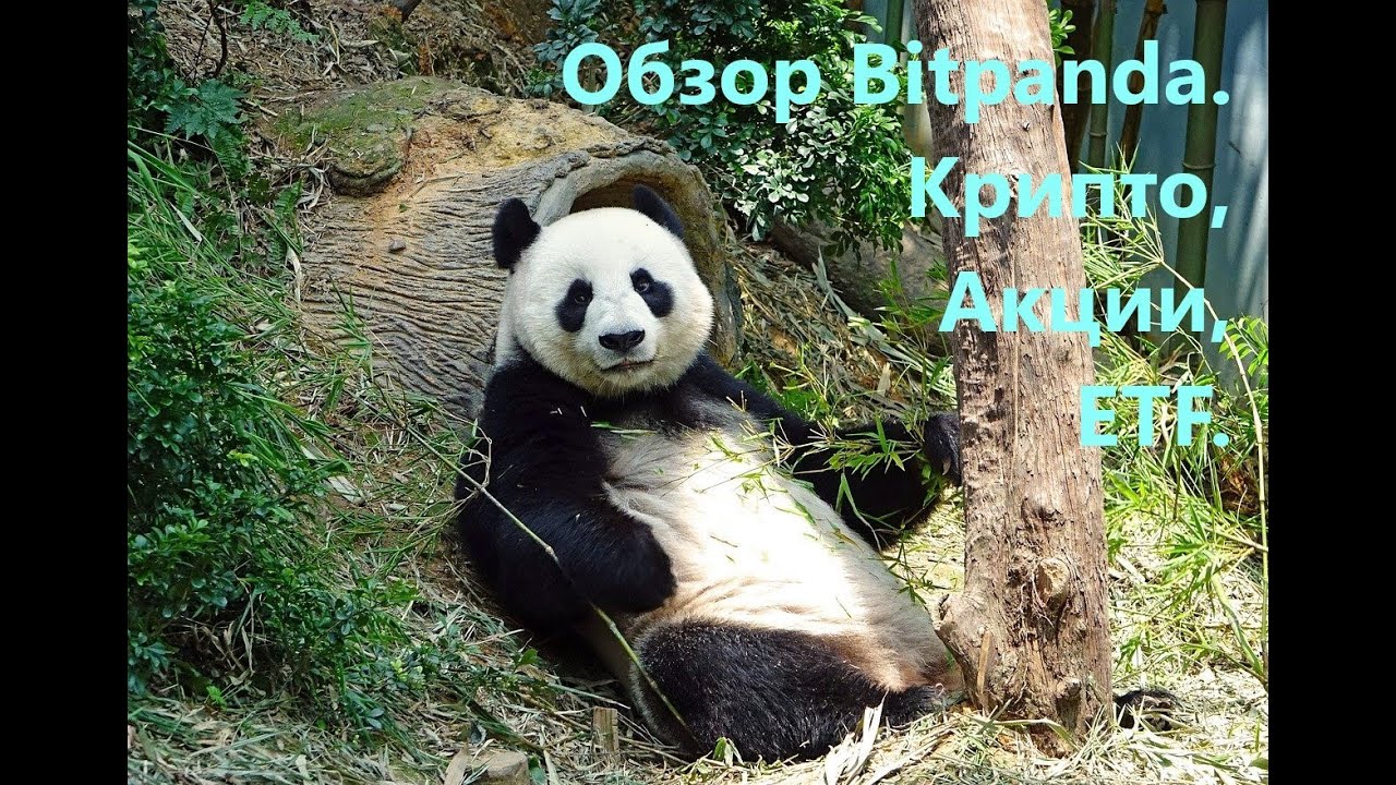 Обзор Bitpanda. Крипто, Акции, ETF.