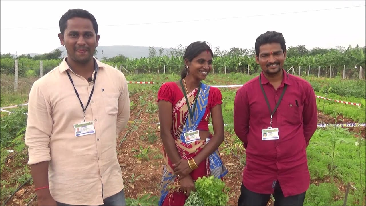 Success story of NFF Sai ram  5 Layer Model ZBNF kadapa district