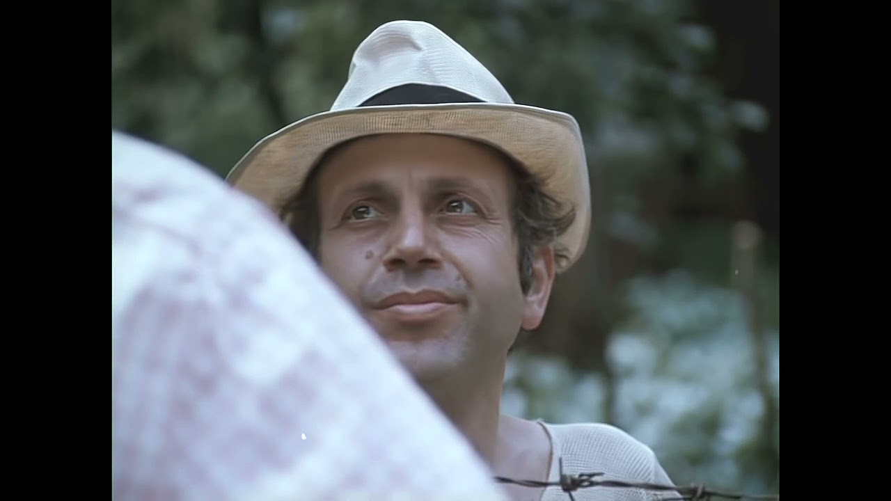 Вилна зона (1975)