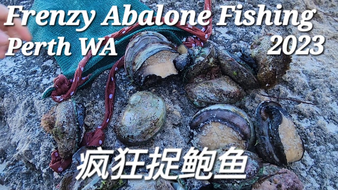 2023 Awesome Abalone Fishing (捉鲍鱼), Perth, WA, Australia.