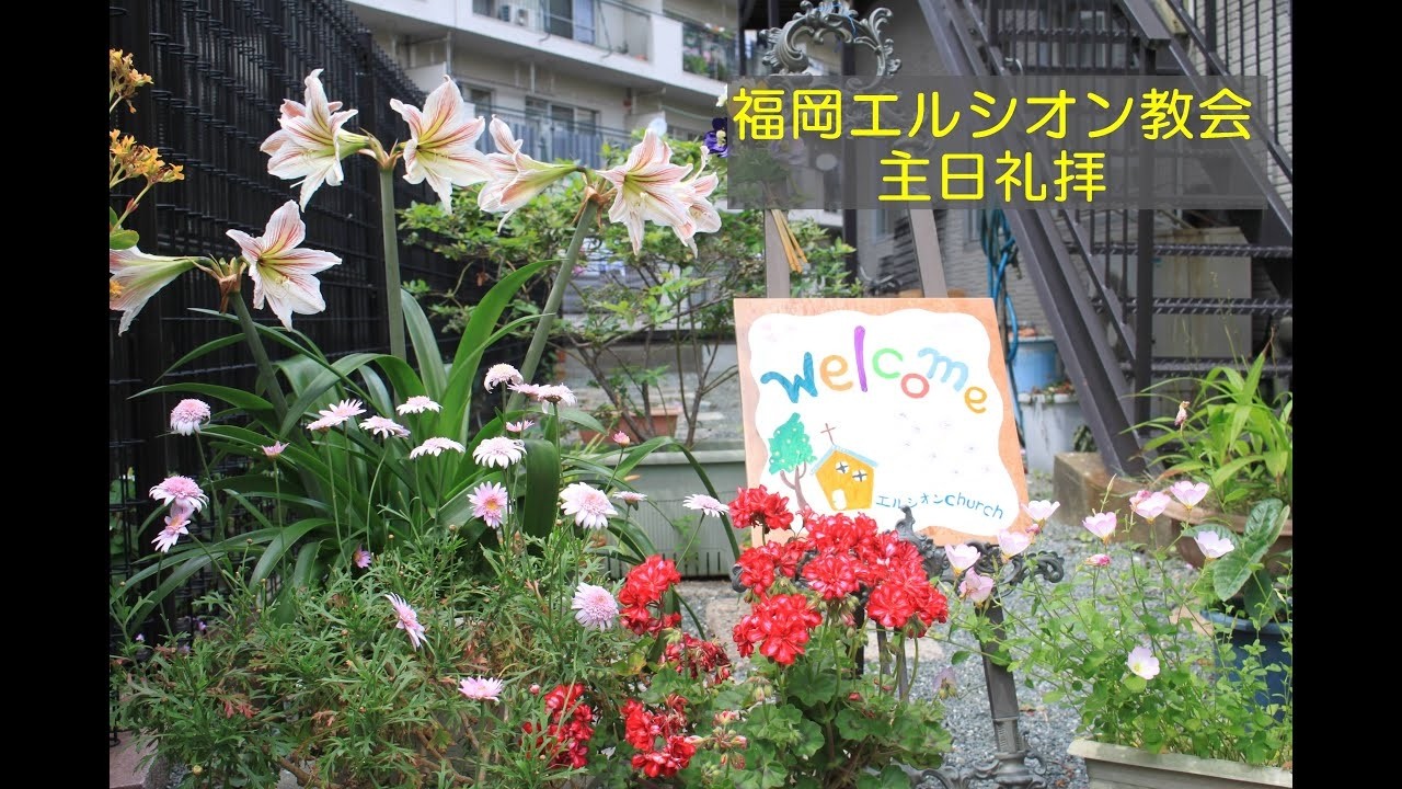 ２０２６年３月１５日　主日礼拝