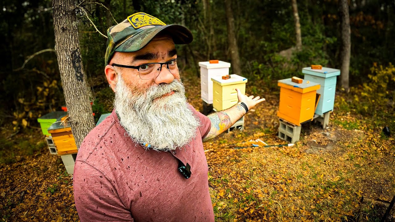 Where to put your first beehive