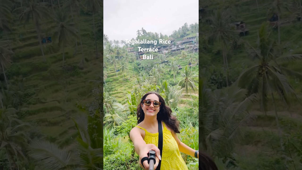 This place was amazing ! #bali #ubud #riceterrace #minivlog