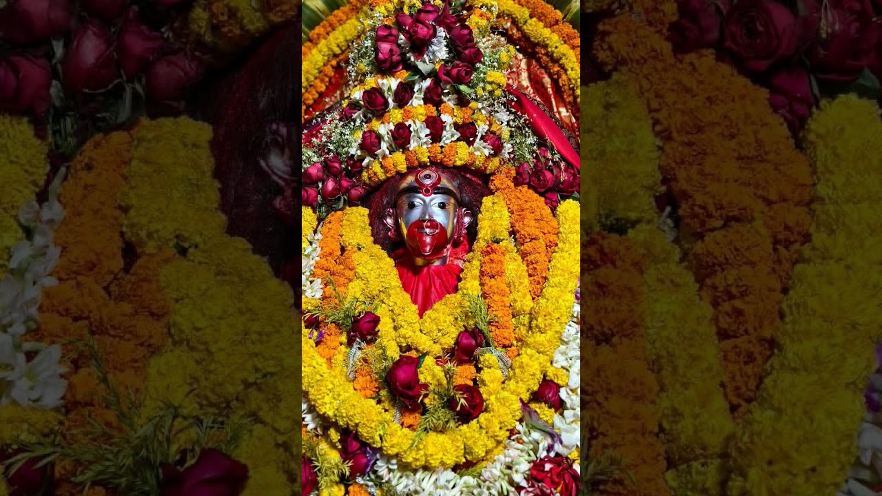 Joy ma Tara🙏 