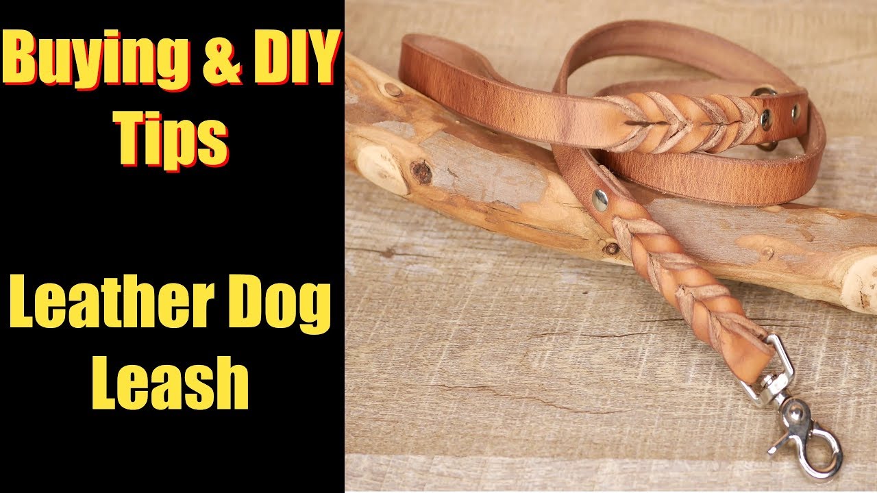 How to Buy a Leather Dog Leash &  DIY Tips