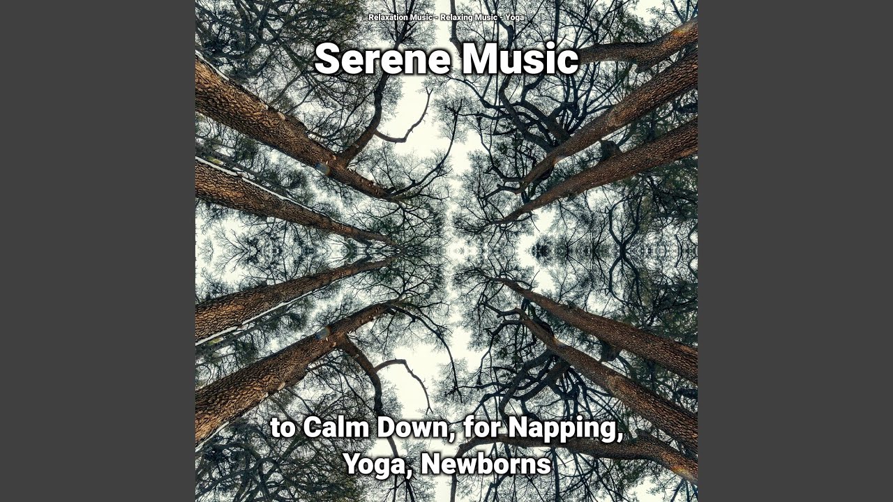 Serene Music to Calm Down Pt. 53