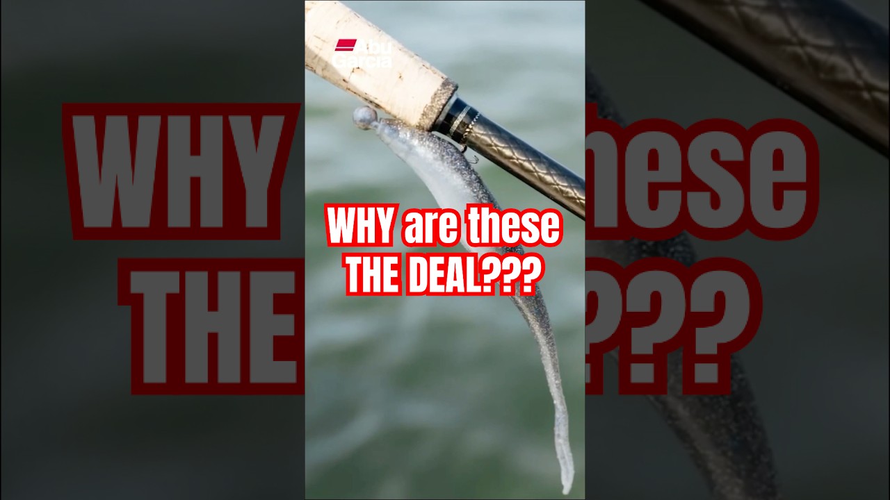 They said THESE were the new BEST MINNOWS&hellip; #bass #fishing #bassfishing #shorts