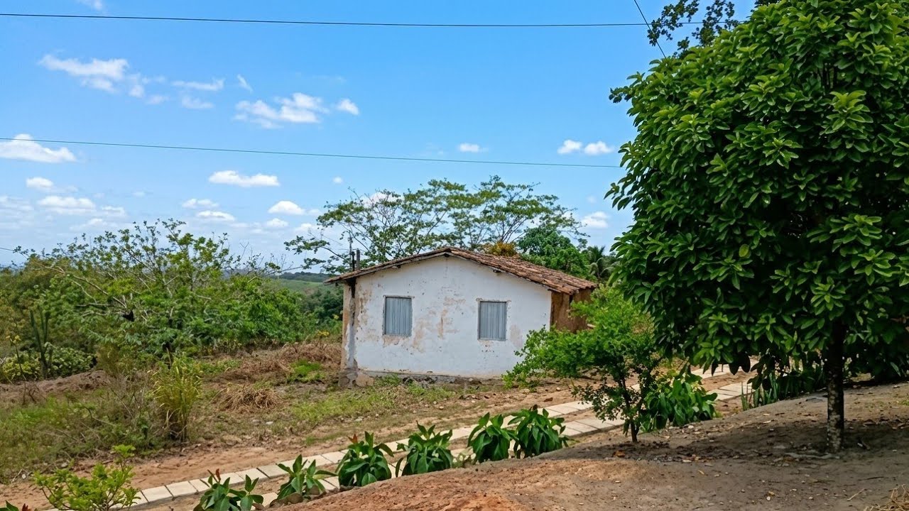 VEJA OQUE ENCONTREI NO SÍTIO LIMEIRA 🍃