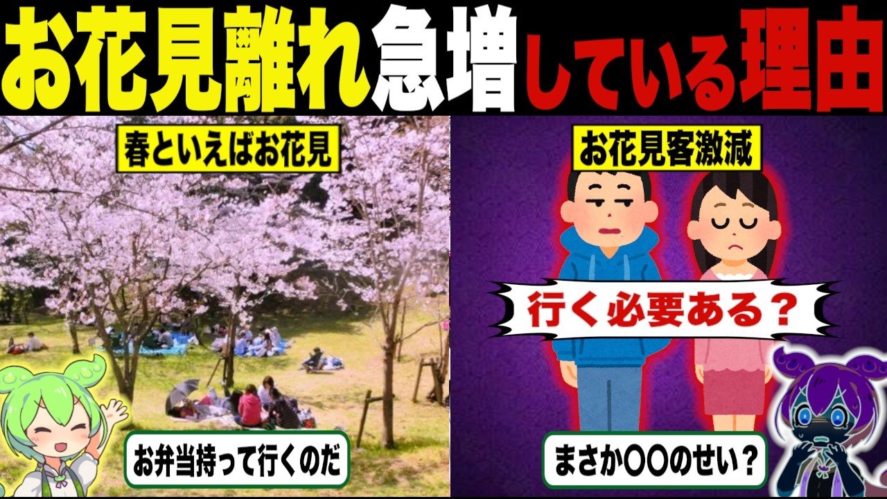 お花見離れが急増している悲しい理由【ずんだもん＆ゆっくり解説】