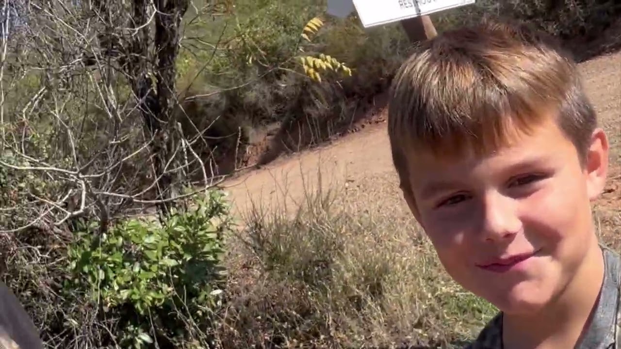 Northern California mt. Knocti black tail shed scouting 