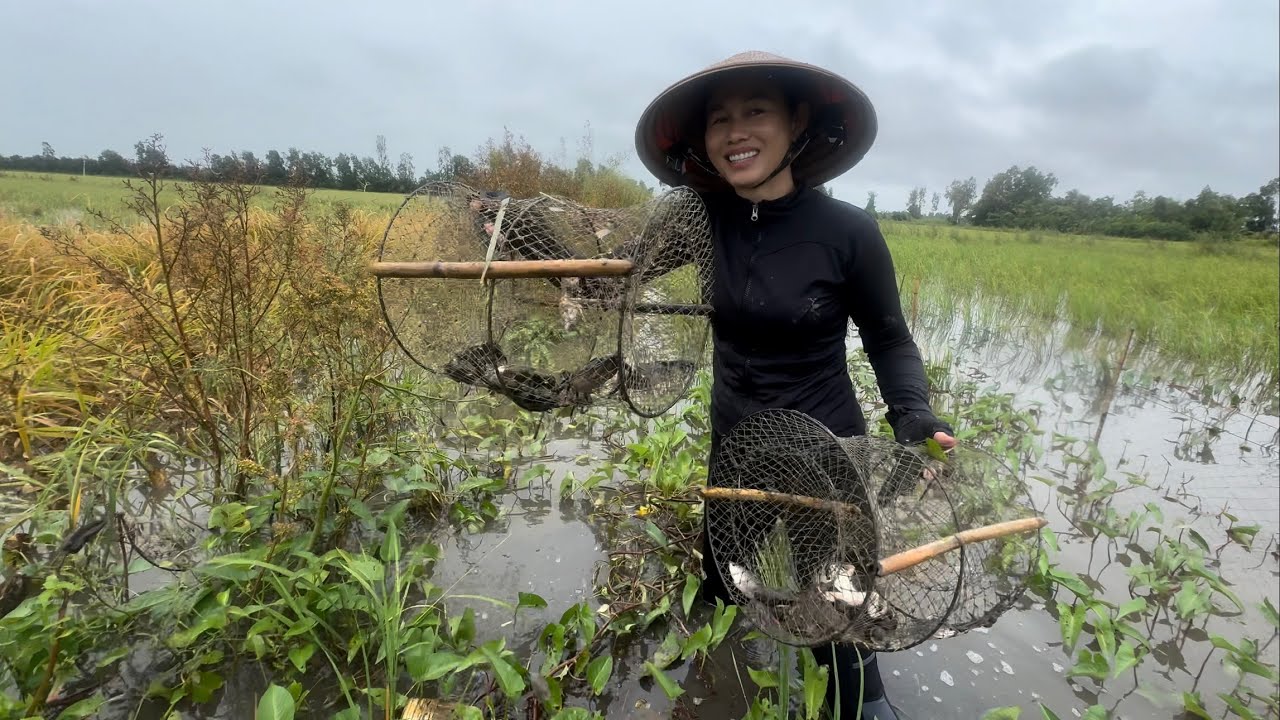 1669 / đặt lợp cua ngày mưa dính thấy ham 