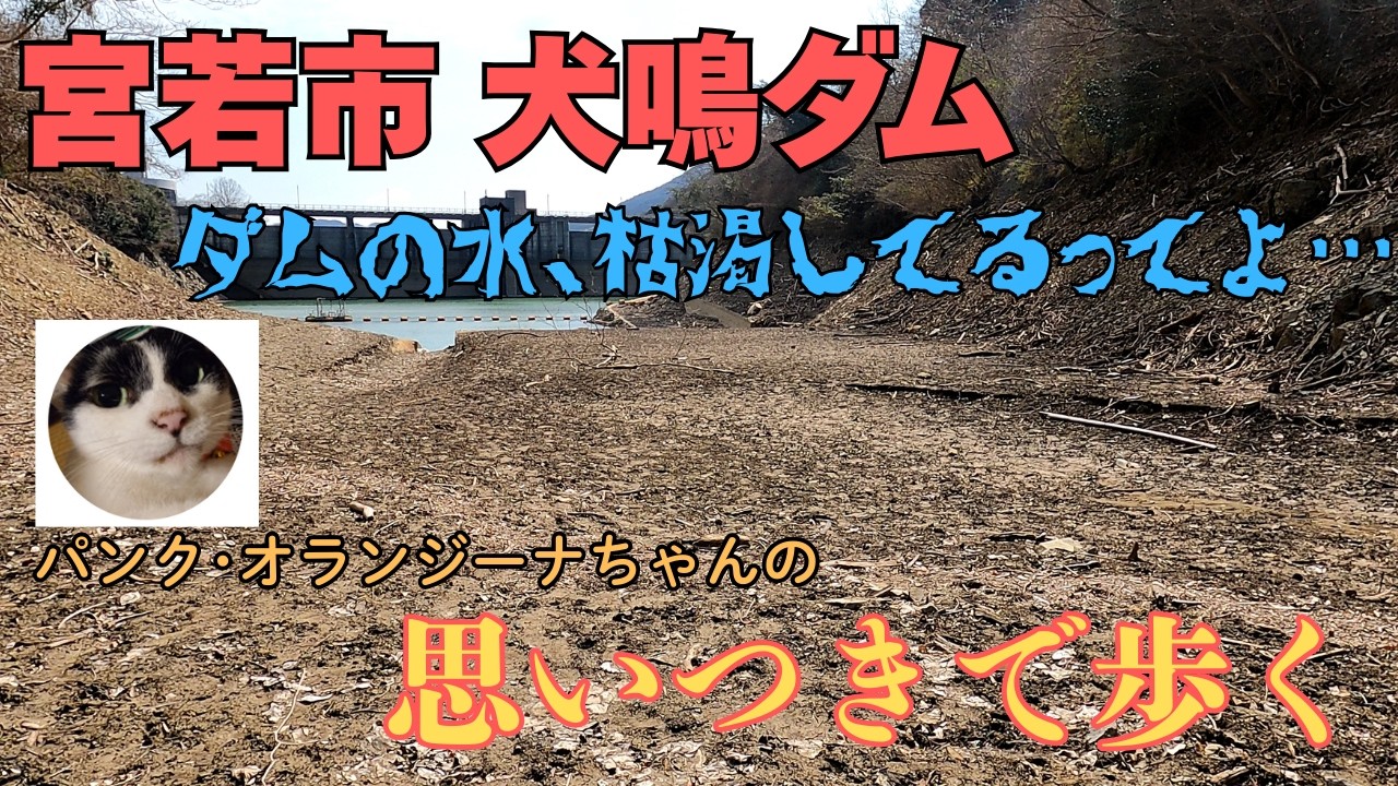🚶【犬鳴ダムを歩く】『ダムの水が足りないってよ‼️』という訳で犬鳴ダムへ様子を見に行ってきました #宮若市 #犬鳴峠