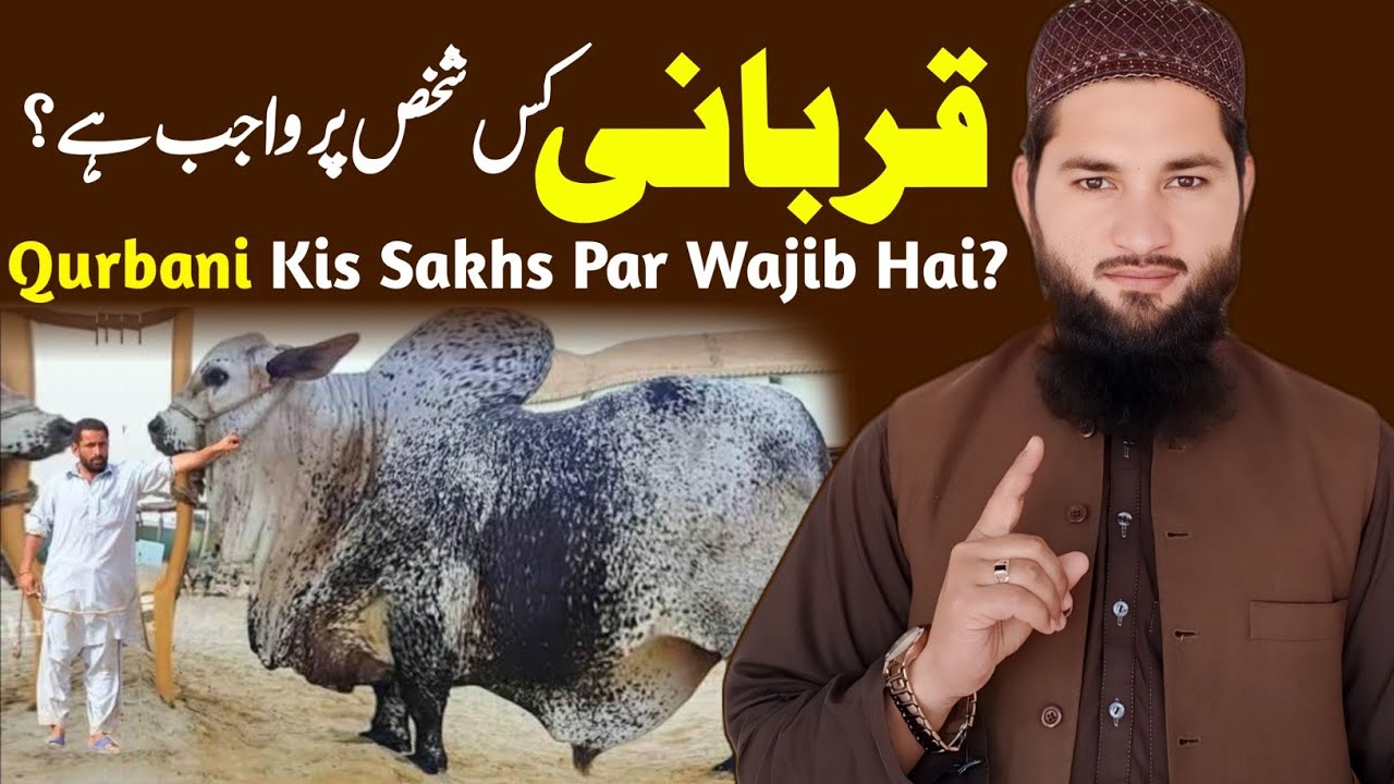 Qurbani Kis Shakh Par Wajib Hai || Qurbani Kis Par Farz Hai || Mufti Zia Ur Rahman || Hubbi ISLAM