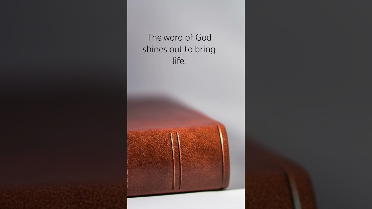 #bible